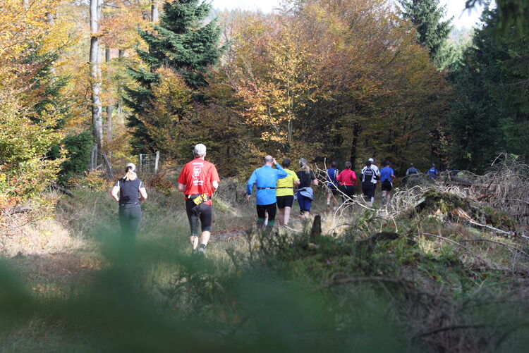 Fleckenberger Herbstlauf 